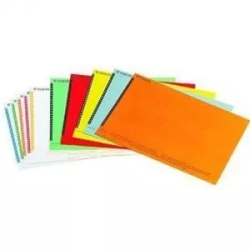 LEITZ Esselte etykiety do zawieszek na dokumenty do szaf, białe, 60 x 12 mm, 100 etykiet (326400)