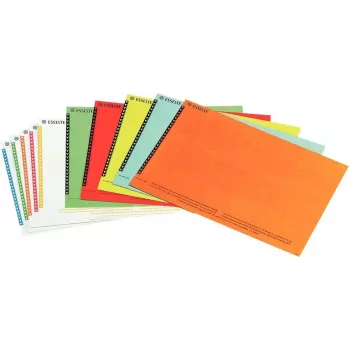 LEITZ Esselte etykiety do zawieszek na dokumenty do szaf, białe, 60 x 12 mm, 100 etykiet (326400)