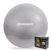 Piłka gimnastyczna SCHILDKROT 65 cm Srebrna Anti-Burst 960156