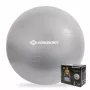Piłka gimnastyczna SCHILDKROT 65 cm Srebrna Anti-Burst 960156
