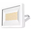 Theben theLeda B50 dual WH naświetlacz LED 50W 3000/4000K przełączalny biały 1020676