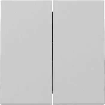 Gira System 55 Klawisz 2-krotny Szary Mat 3295015