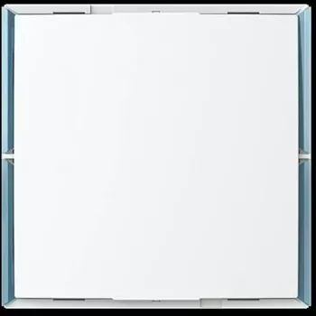 BUSCH-JAEGER Panel przyciskowy 1..4 funkcje sterujące KK/U4.55.11 (2CKA006115A0505)