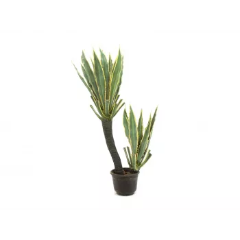 EUROPALMS Orchid Cactus sztuczna roślina, 160cm 82809035