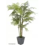 EUROPALMS Cycas Palma Sztuczna Roślina, 280cm 82511360