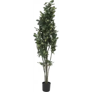EUROPALMS Schefflera sztuczna roślina, 120cm, zielona 82600157