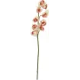 EUROPALMS sztuczna gałązka Cymbidium, kremowo-różowa, 90cm 82530311