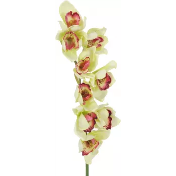 EUROPALMS Sztuczna gałązka storczyka Cymbidium, zielona, 90cm 82530313