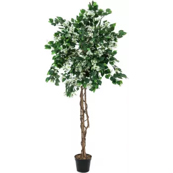 EUROPALMS Bougainvillea sztuczna roślina, biała, 180 cm 82507086