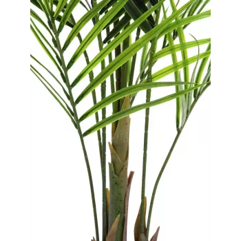 EUROPALMS Sztuczna roślina areka o dużych liściach, 165cm 82509441