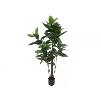 EUROPALMS Sztuczna roślina kauczukowiec, 120cm 82600150