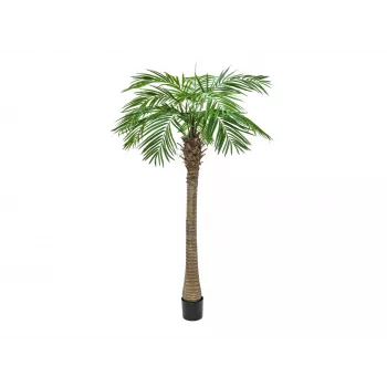 EUROPALMS Phoenix Palm Luxor, Sztuczna Roślina, 240cm 82510722