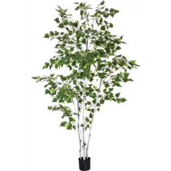 EUROPALMS Sztuczna brzoza, 210 cm 82505232