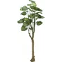 EUROPALMS Pothos Tree Sztuczna Roślina 175cm 82600163