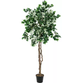 EUROPALMS Bougainvillea Sztuczna Roślina, Biała, 150cm 82507085