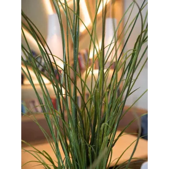 EUROPALMS Sztuczna Trawa Trzcinowa, 145cm, Zielono-Brązowa, W Doniczce 82600229