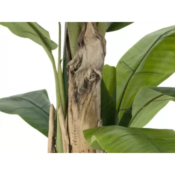 EUROPALMS Sztuczna Bananowiec, 170cm, Zielone Liście, Czarna Doniczka 82509539