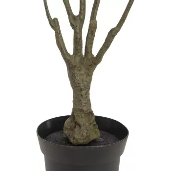 EUROPALMS Sztuczna roślina Dracaena, zielono-czerwona, 90cm 82505778