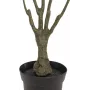 EUROPALMS Sztuczna roślina Dracaena, zielono-czerwona, 90cm 82505778