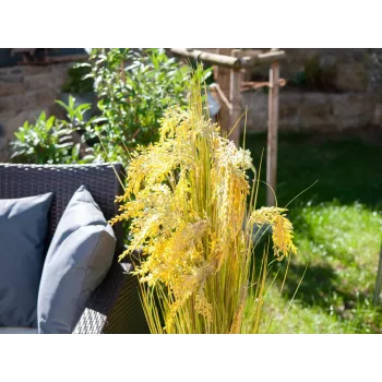 EUROPALMS Sztuczna wiązka trzciny, 118 cm 82600136