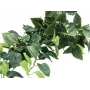 EUROPALMS Pothos Bush Screen Classic, sztuczna, 100cm 82502203