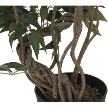 EUROPALMS Ficus Multi Spiral Trunk sztuczna roślina, 130cm 82806314