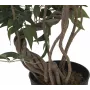 EUROPALMS Ficus Multi Spiral Trunk sztuczna roślina, 130cm 82806314