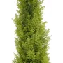EUROPALMS Leyland Cypress Sztuczna Roślina, 120 cm, Zielone Liście, Czarna Doniczka 82606964