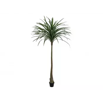 EUROPALMS Dracena sztuczna roślina, zielona, 220cm 82505798