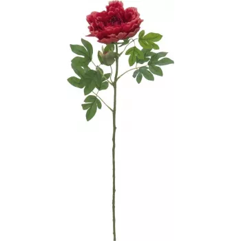EUROPALMS Classic Peony Branch Sztuczna Roślina, Magenta, 80cm 82530211
