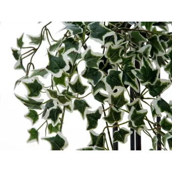 EUROPALMS Holland Ivy Hedge Screen Classic, sztuczna, 60cm 82502210