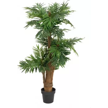 EUROPALMS Sztuczna palma areka, 140cm 82509407