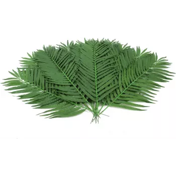 EUROPALMS Sztuczne liście palmy kokosowej, 90 cm, 12 sztuk, zielone 82509896