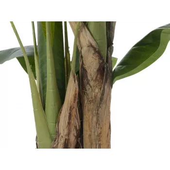 EUROPALMS Sztuczna Bananowiec, 120cm, Realistyczne Zielone Liście, Czarna Doniczka 82509537
