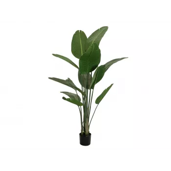 EUROPALMS Sztuczna strelicja, 170 cm 82540523