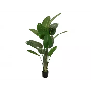 EUROPALMS Sztuczna strelicja, 170 cm 82540523