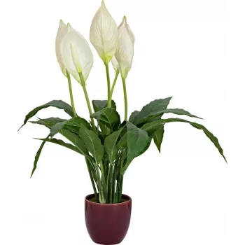 EUROPALMS Sztuczna lilia pokojowa, 60 cm 82505660