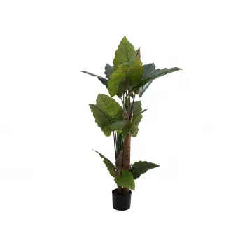 EUROPALMS Alocasia sztuczna roślina, 140cm, zielona, czarna doniczka 82508464