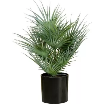 EUROPALMS Sztuczna palma wachlarzowa w doniczce, 55 cm 82509401
