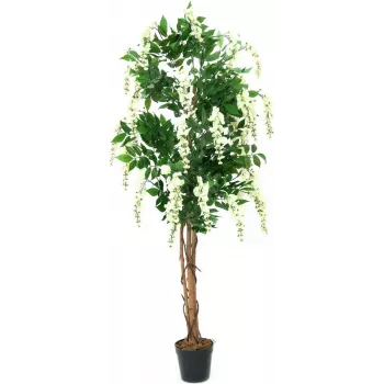 EUROPALMS Sztuczna roślina złotokap, biały, 150cm (82507105)