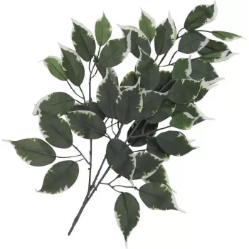 EUROPALMS sztuczna gałązka fikusa, 12-pak 82506100