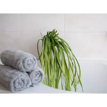 EUROPALMS Sztuczna trawa morska (EVA), zielona 82531062