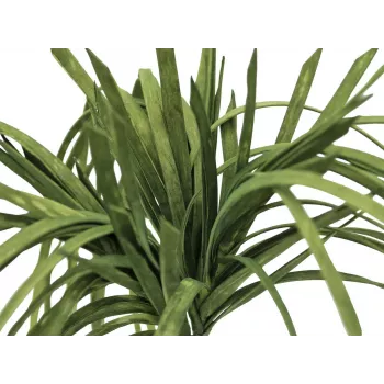 EUROPALMS Sztuczna trawa morska (EVA), zielona 82531062