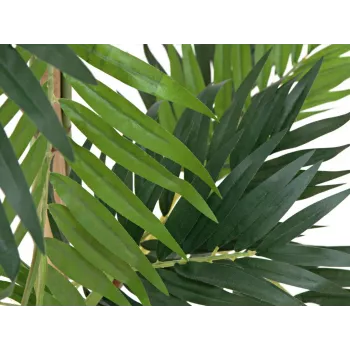 EUROPALMS Sztuczna roślina palma koralowa, 150cm 82509495