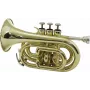 DIMAVERY TP-300 Bb Trąbka kieszonkowa, złoty lakier 26503720