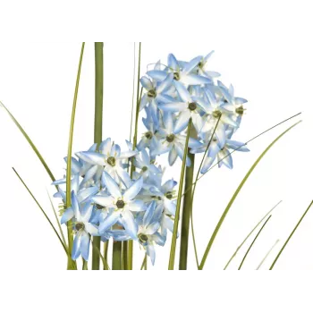 EUROPALMS Allium Grass sztuczna roślina, niebieska, 120 cm 82600168