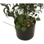 EUROPALMS Sztuczne drzewo oliwne, 104 cm 82506423