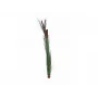 EUROPALMS Sztuczna trawa trzcinowa z pałkami, ciemnozielona, 152cm 82505854