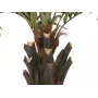 EUROPALMS Kentia Palm Deluxe Sztuczna Roślina 300cm 82511370