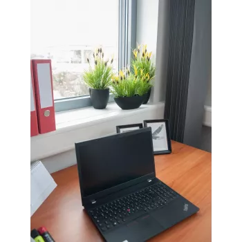 EUROPALMS Sztuczna roślina kozibród, 40cm 82505639